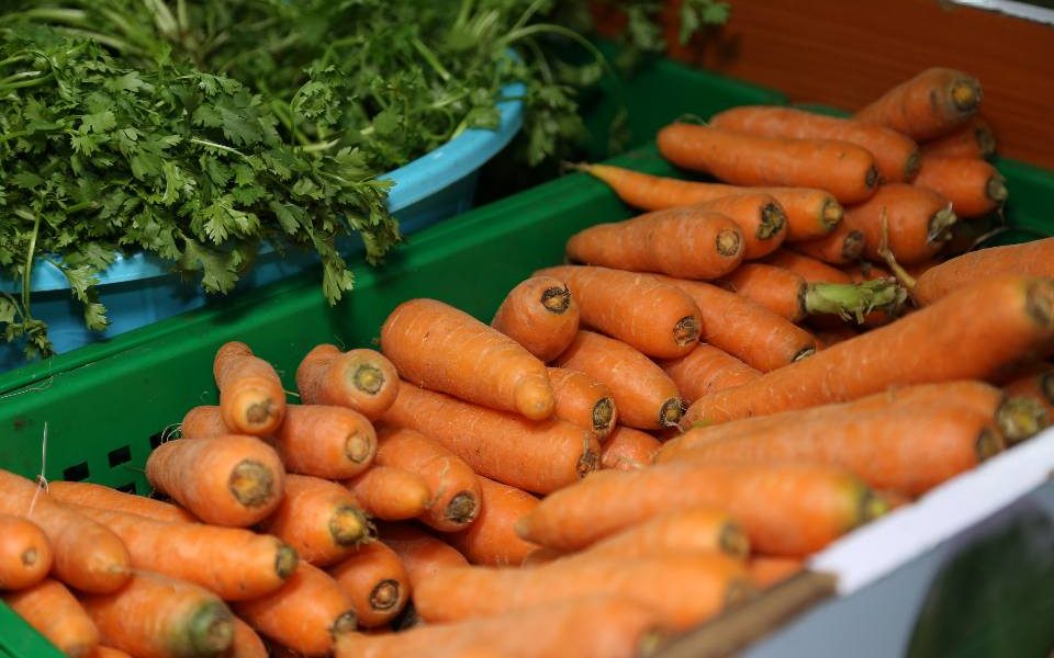 Carrots for sale and export