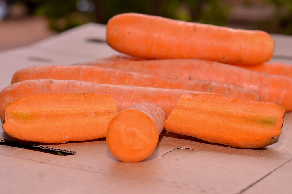 Carrots for export and Sale