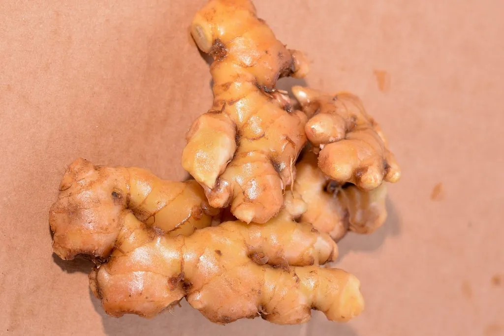 bulk raw ginger for export and sale