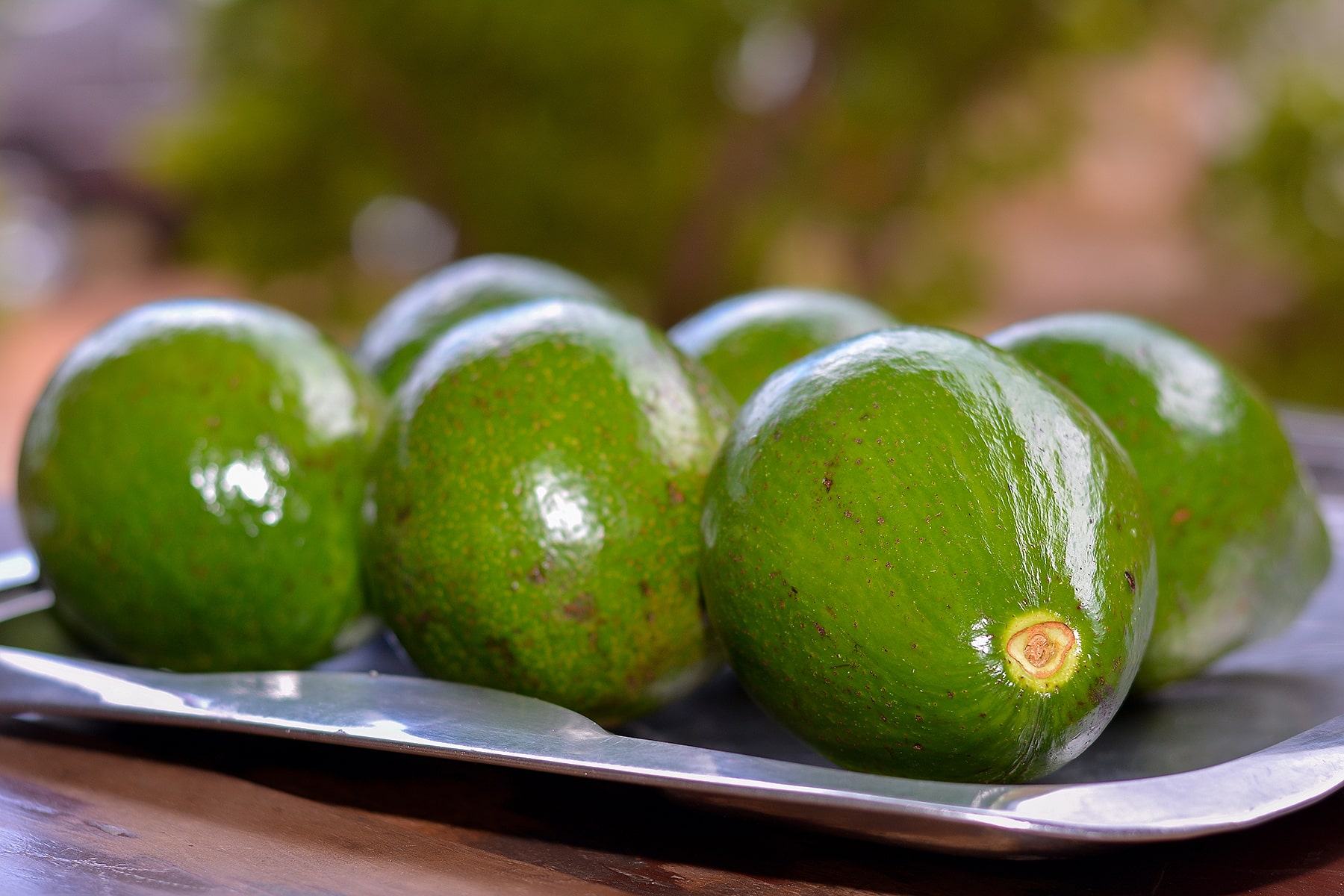 Avocados for sale on display