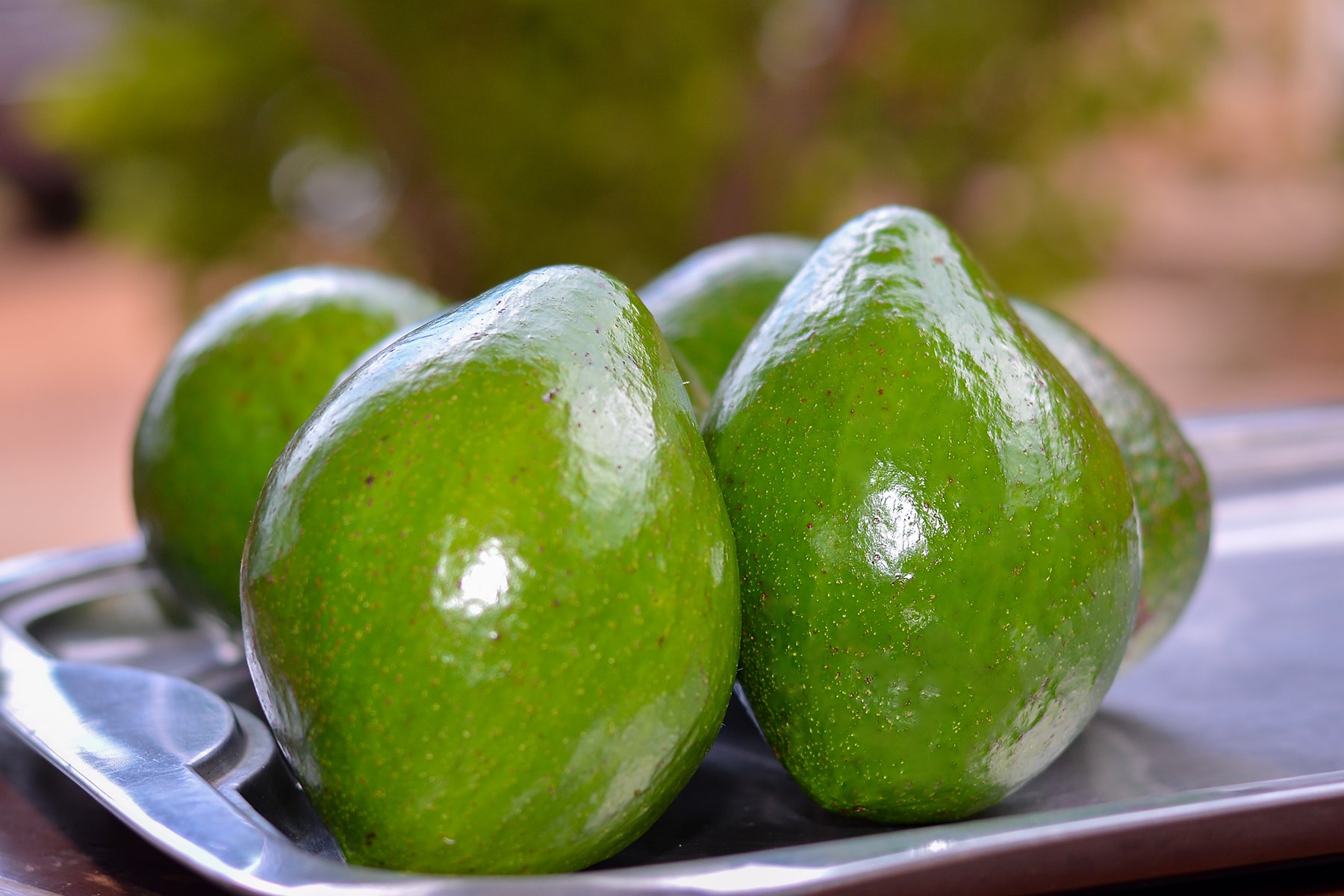 Avocados for sale on display