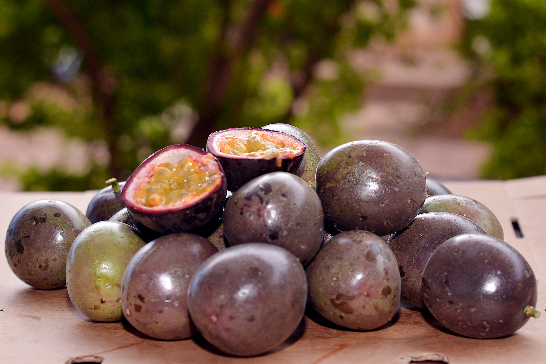 Passion fruits for sale and Export