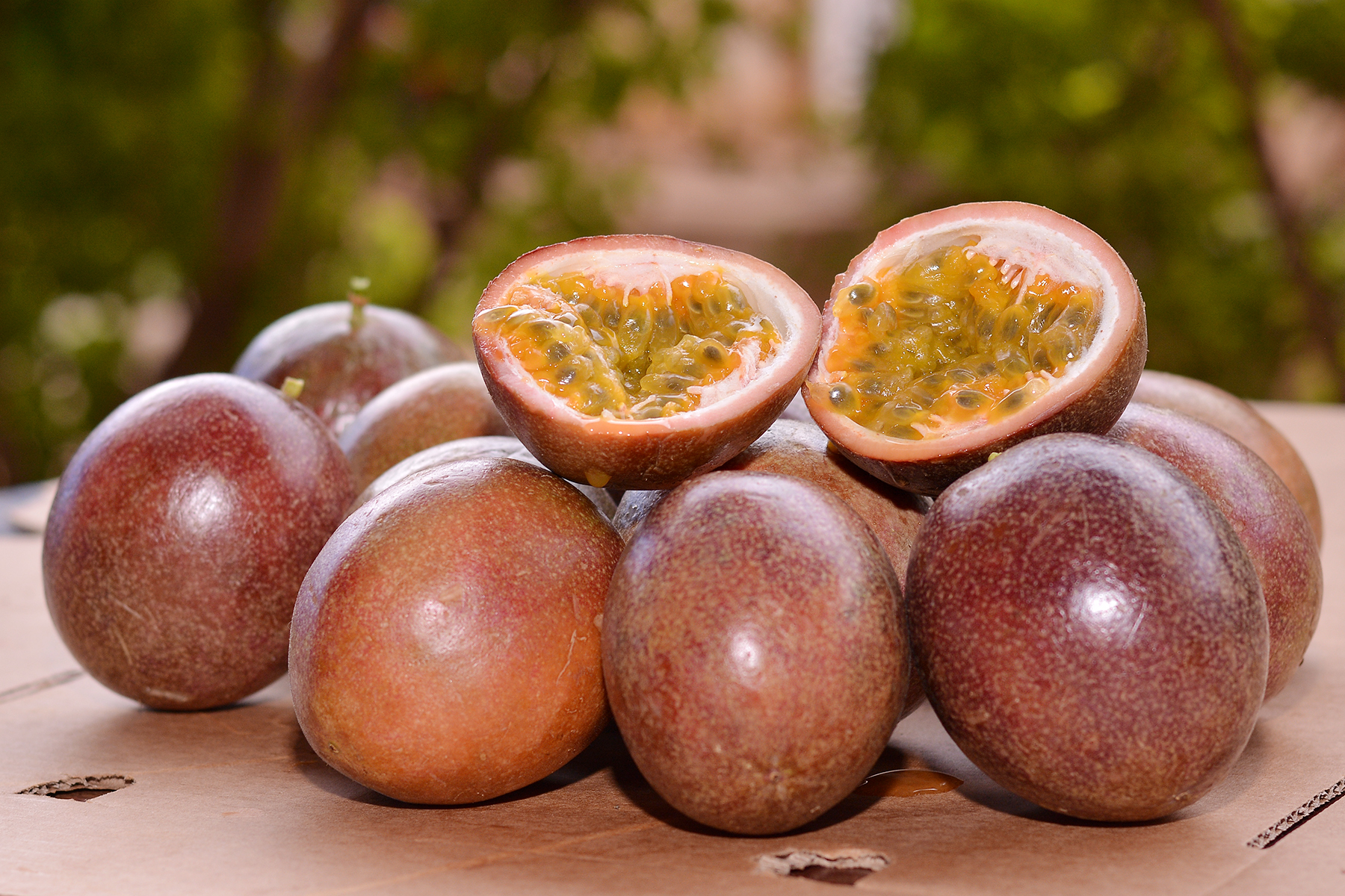 Passion fruits for sale and Export