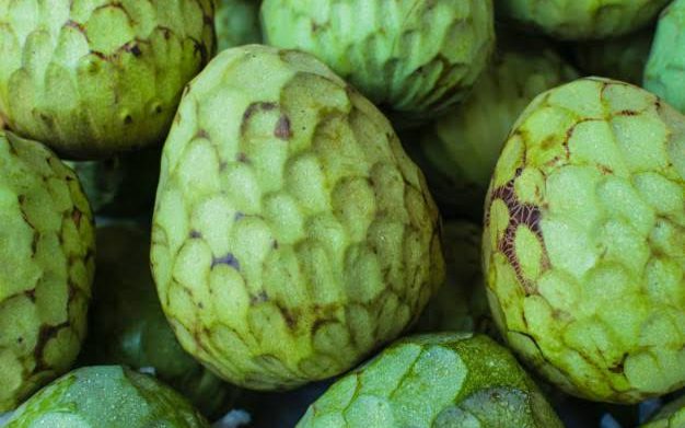 Cherimoya fruits