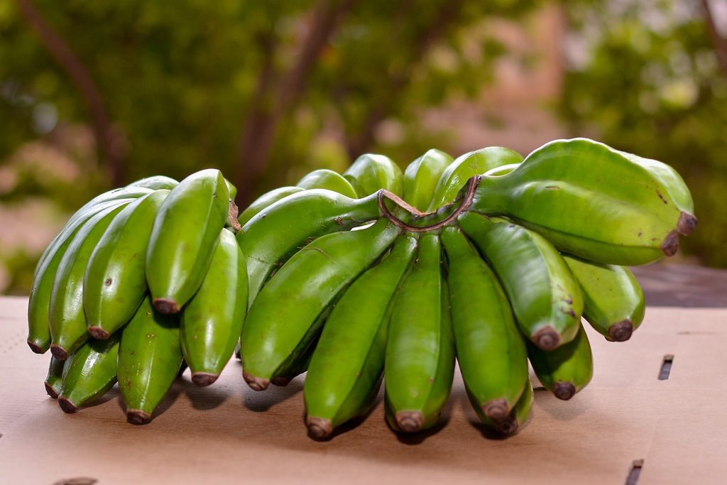 Yellow Bananas ready for packaging