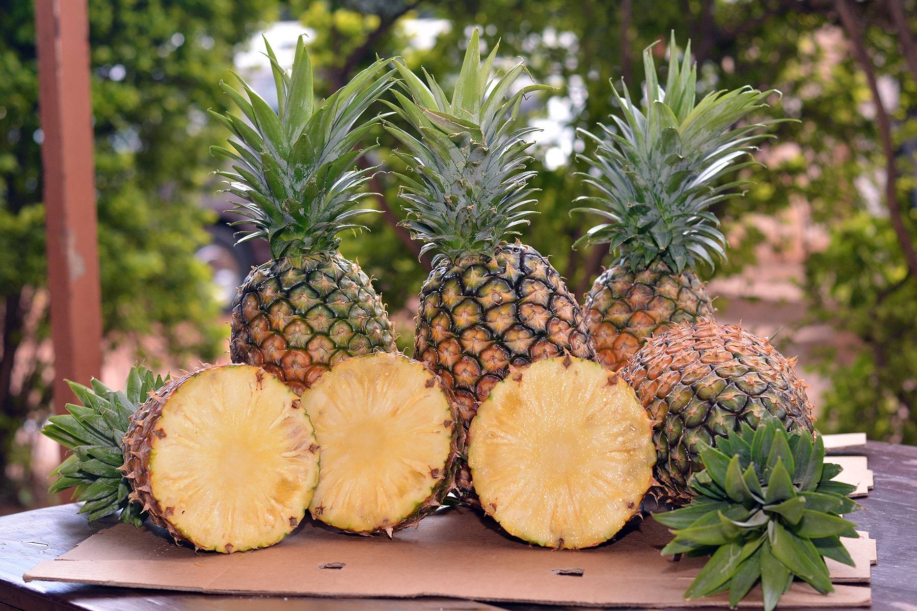 Pineapples for sale and export