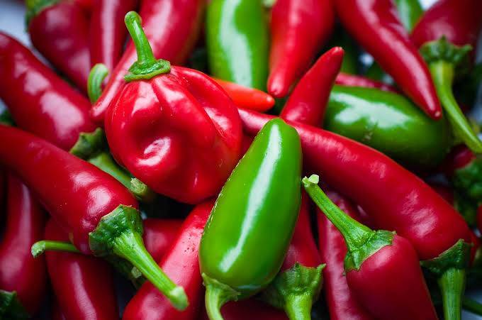 Bullet chili for export and sale in bulky