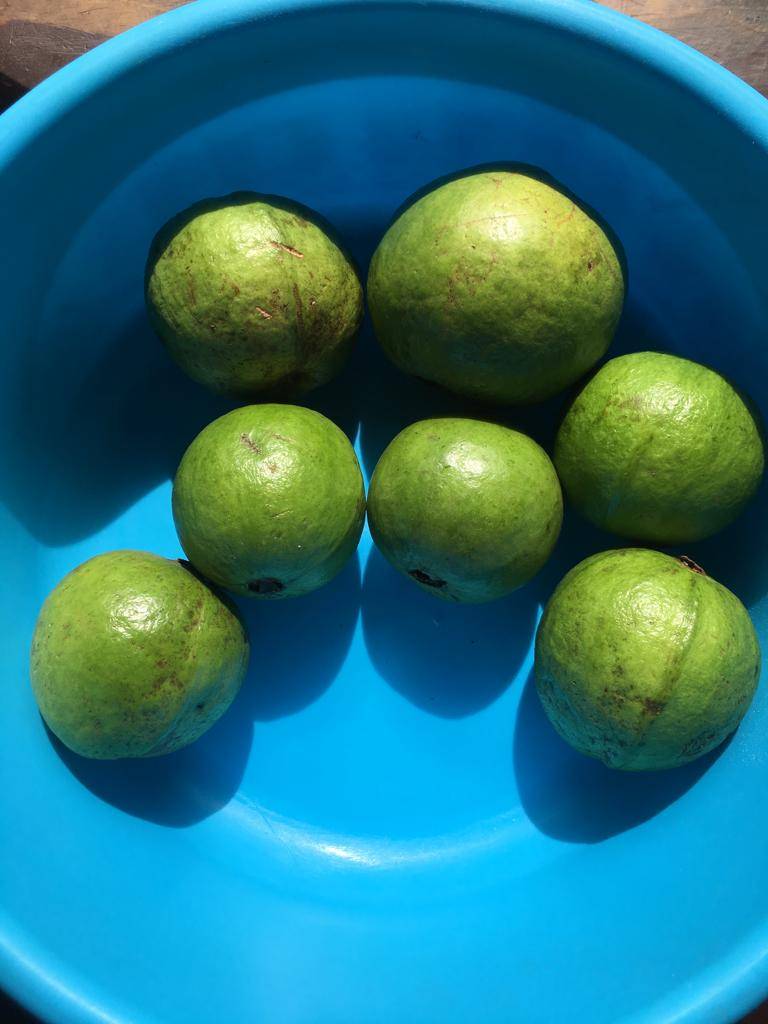 Guavas on expo