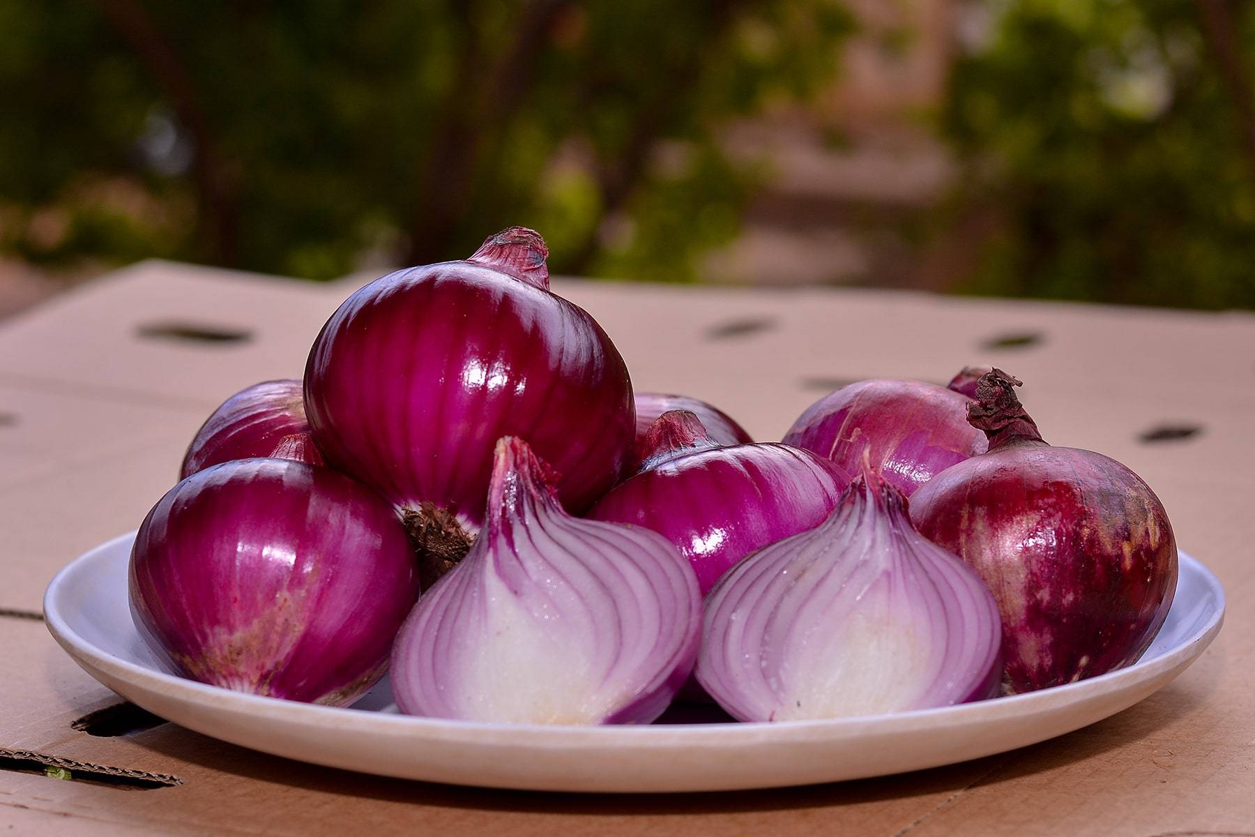 Onions for Sale and Export in bulky