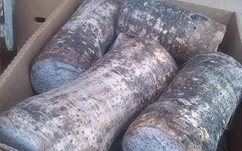Yams for sale and Export